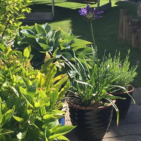 Проживание в семье Large Modern Family - “arnely” Tommerup