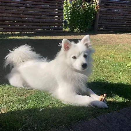 Large Modern Family - “arnely” *