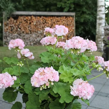 民宿 Large Modern Family - “arnely” *